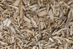 biomass boilers Milkieston